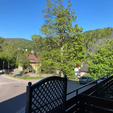 Haus Sonne Apartmán Todtmoos