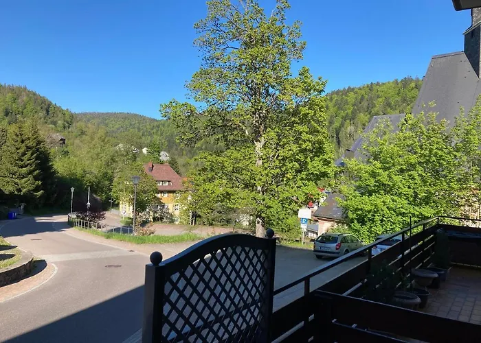 Haus Sonne Lägenhet Todtmoos